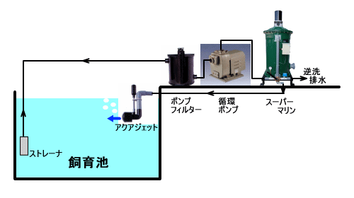 ポンプフィルター　庭池,ポンプフィルター　スーパーマリン