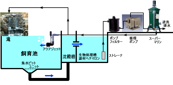 庭池　防水工事,池　防水工事,錦鯉池　防水工事,庭池　FRP防水,庭池　業者,錦鯉池　業者,池　水漏れ,