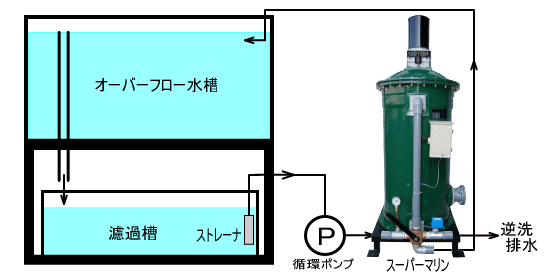 3000水槽 濾過設備,窓付水槽　濾過,窓付FRP水槽　濾過