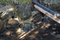 庭池　防水工事,庭池　FRP防水,池　高圧水洗い