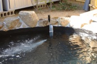 錦鯉 造園,庭池 錦鯉,造園 池,錦鯉池 アクアジェット