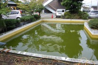 庭池　掃除,錦鯉池　清掃,庭池　高圧水洗い