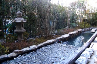 錦鯉 造園,庭池 錦鯉,造園 池,錦鯉池 作り