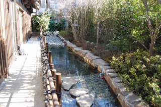 錦鯉 造園,庭池 錦鯉,造園 池,錦鯉池 工事