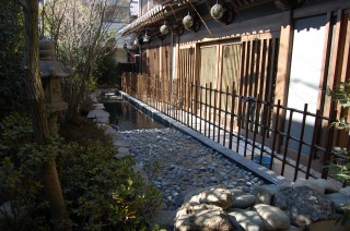 錦鯉 造園,庭池 錦鯉,造園 池,錦鯉池 工事