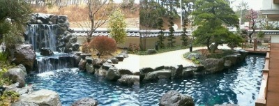 造園　日本庭園池　錦鯉