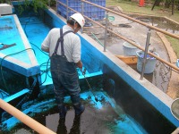 池清掃 業者,池 高圧水洗い,