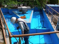 池清掃 業者,池 高圧水洗い,