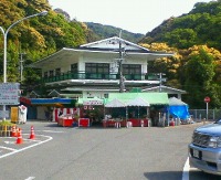 錦鯉 一時預かり,錦鯉 ストック