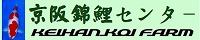 庭池改修工事　錦鯉の販売・通販、飼育・病気の事なら信頼と実績の京阪錦鯉センターにお任せください。