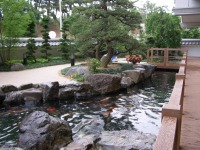 錦鯉池管理,池管理,管理,錦鯉管理業務,メンテナス,管理業務,