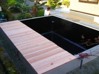 錦鯉 コンクリート池,錦鯉池 施工