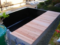 錦鯉 コンクリート池,錦鯉池 施工