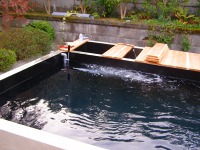 錦鯉 コンクリート池,錦鯉池 施工