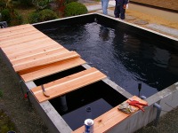 錦鯉 コンクリート池,錦鯉池 施工