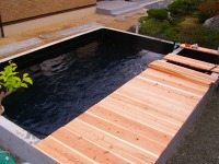 錦鯉 コンクリート池,錦鯉池 施工