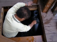 錦鯉池管理,池管理,管理,錦鯉管理業務,メンテナス,管理業務,