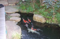 庭池 防水工事,庭池 FRP防水