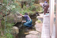 池 リフォーム,池 改修