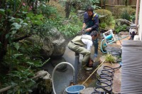 池 リフォーム,池 改修