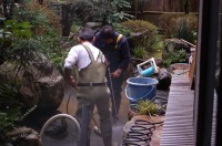 池 リフォーム,池 改修