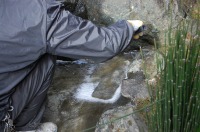 庭池 防水工事,庭池 FRP防水