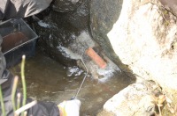 庭池 防水工事,庭池 FRP防水