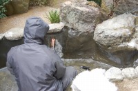 庭池 防水工事,庭池 FRP防水