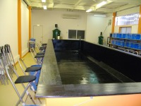 コンクリート池 錦鯉,池作り 池用塗料