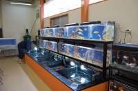 スーパーマリン 集中濾過