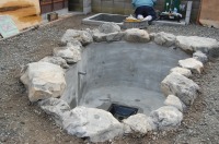 錦鯉 和風池,庭池 石組み