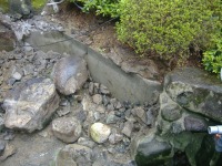 錦鯉池 改修,池 解体