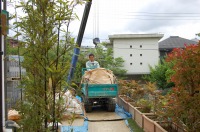 池 リフォーム,錦鯉池 改修,庭池 施工