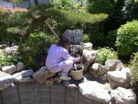 庭池 リフォーム,庭池 石組み