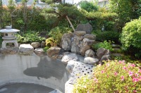 庭池 リフォーム,庭池 モルタル塗り