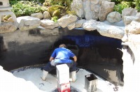 庭池 リフォーム,池用塗料 塗り