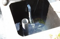 錦鯉 庭池,和風鑑賞池 錦鯉