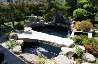 錦鯉 庭池,和風鑑賞池 錦鯉