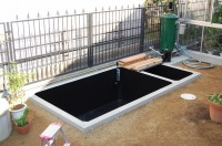 コンクリート池 池用塗料,池作り 錦鯉