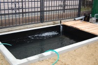 コンクリート池 錦鯉,池作り 業者