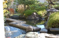 庭池 防水工事,庭池 FRP防水,池 水漏れ