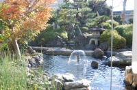 庭池 防水工事,庭池 FRP防水,池 水漏れ