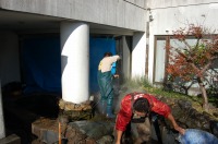 池 高圧水洗い,庭池 清掃