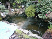 庭池 防水工事,庭池 FRP防水,池 水漏れ