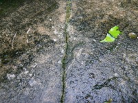 庭池 防水工事,庭池 FRP防水,池 高圧水洗い