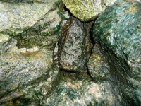 庭池 防水工事,庭池 FRP防水,池 高圧水洗い