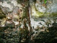 庭池 防水工事,庭池 FRP防水,池 高圧水洗い