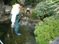 庭池 防水工事,庭池 FRP防水,池 清掃