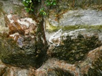 庭池 防水工事,庭池 FRP防水,池 高圧水洗い