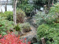 池 高圧水洗い,庭池 清掃